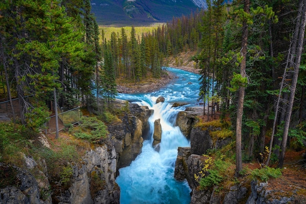 Cataratas Sunwapta en el Parque Nacional Jasper Canadá