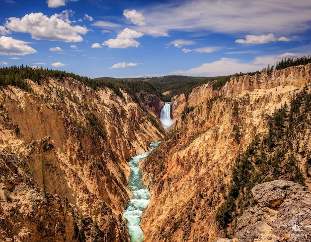 Foto las cataratas de yellowstone y el río