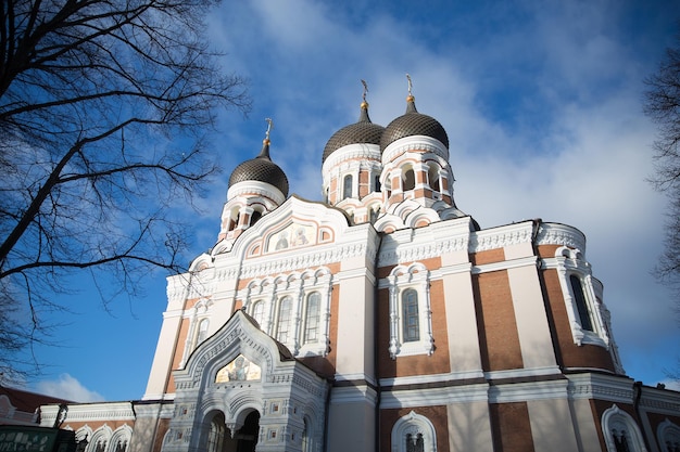 Catedral de alexander nevsky