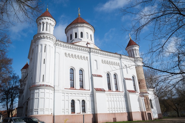 Catedral da Mãe Pura de Deus, Vilnius