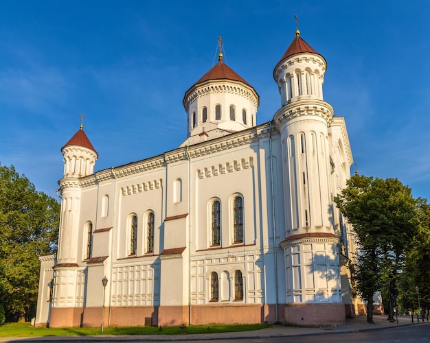 Catedral da Theotokos em Vilnius, Lituânia