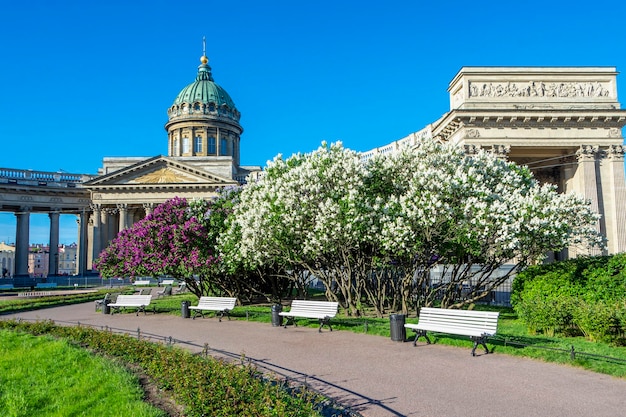 Catedral de Kazan Kazansky na primavera São Petersburgo Rússia