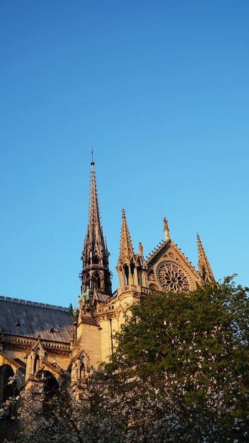 Foto catedral de notre-dame de paris na primavera.