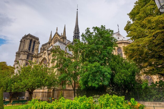 Catedral de Notre Dame no fundo da natureza