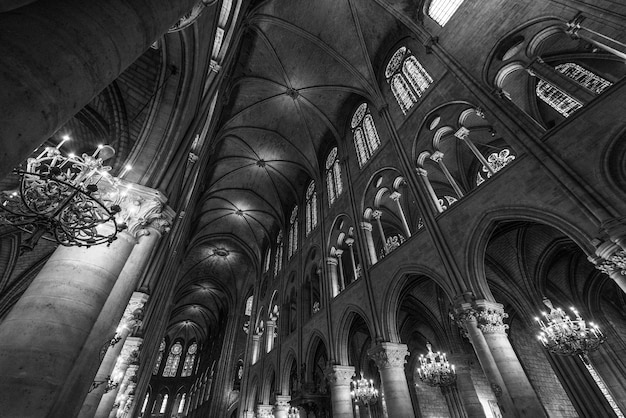 Catedral de NotreDame FrancexA