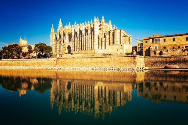 Catedral de palma de maiorca com palmeiras e reflexos de água no céu azul. igreja gótica la seu pela manhã. destinos de viagem