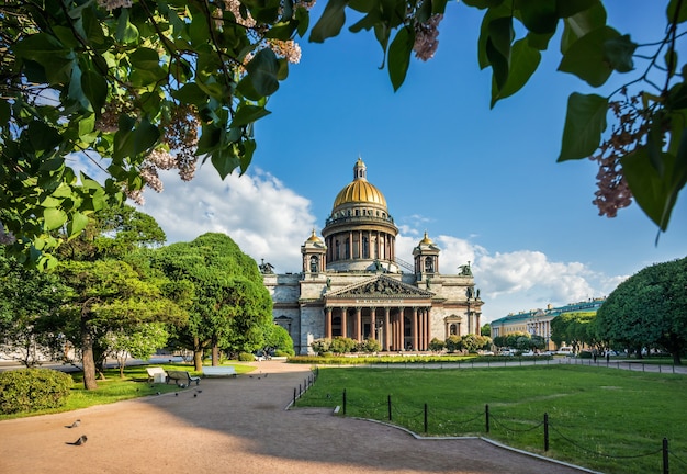 Catedral de Santo Isaac sob o céu azul e lilases no parque em São Petersburgo em uma manhã ensolarada de verão