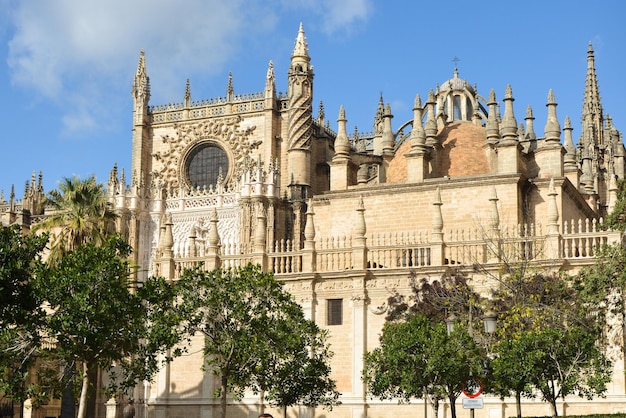 Catedral de sevilha