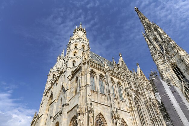 Catedral de st stephens em viena áustria