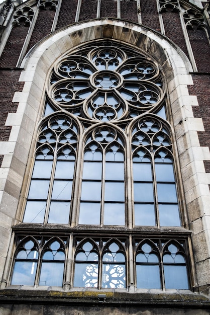 Catedral de elementos de arquitectura gótica