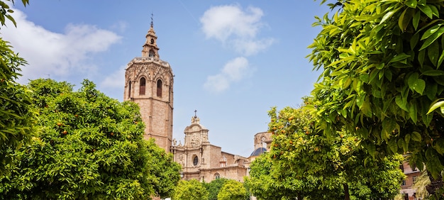 Catedral, em, valencia