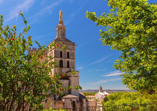 Catedral ensolarada de Avignon, no sul da França