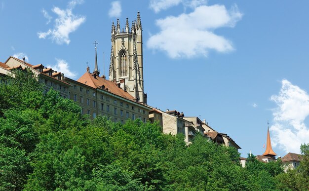 Catedral Friburgo Suiza