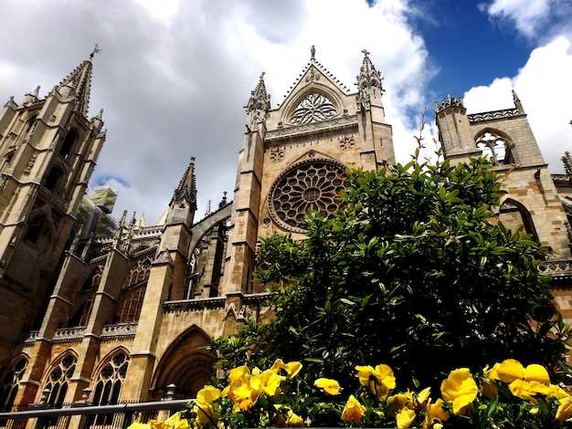 Catedral gótica de León