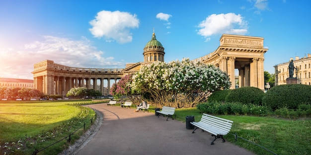 La catedral de Kazán en San Petersburgo, iluminada por el sol matutino de verano y arbustos de lilas en flor