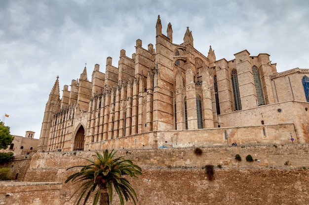 Catedral la seu palma de mallorca