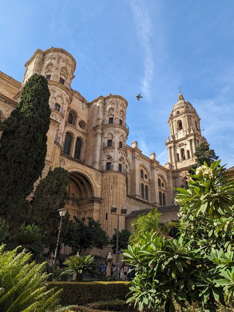 Foto catedral de málaga hermosa iglesia católica málaga en andalucía en el sur de españa arquitectura