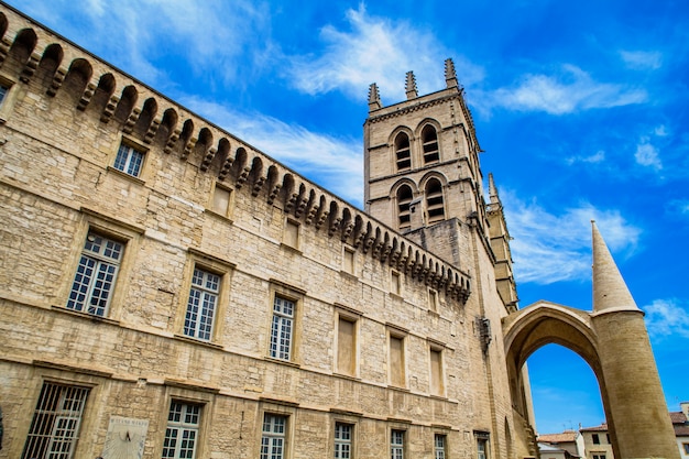 Foto catedral de montpellier