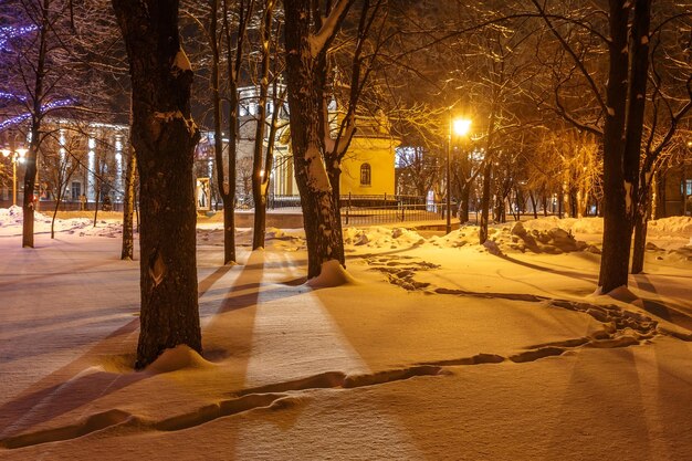 Catedral na paisagem de inverno de fundo