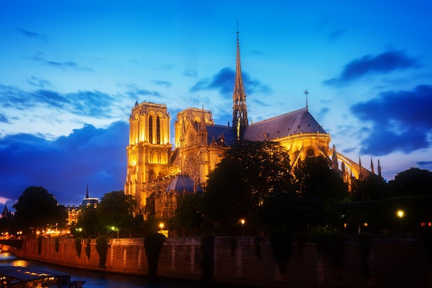 La catedral de Notre Dame iluminada por la noche azul, París, Francia, tonificada