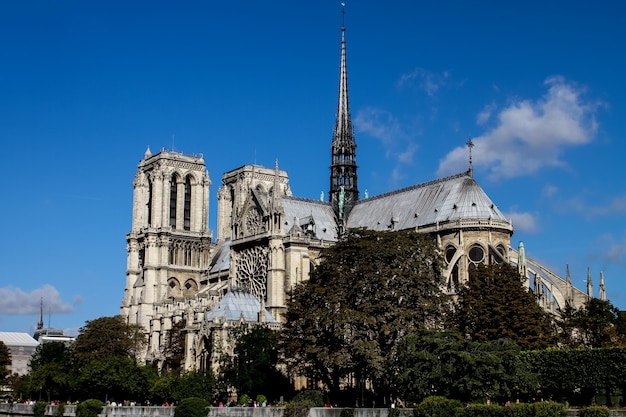 Catedral de Notre Dame en París, Francia