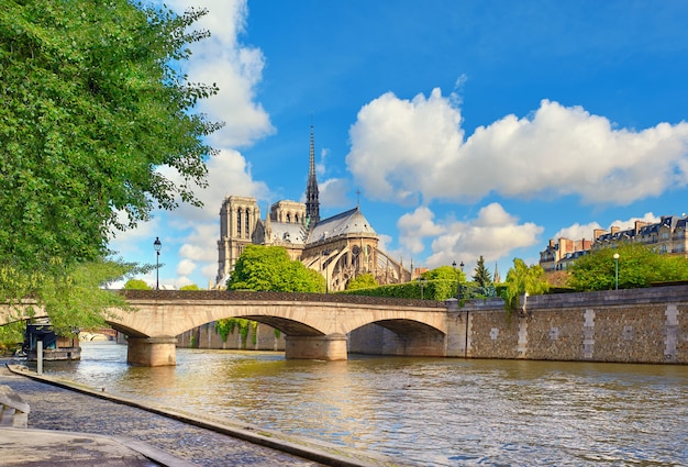 Catedral de Notre Dame en París en primavera