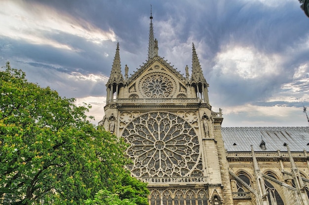 Catedral notre dame en París