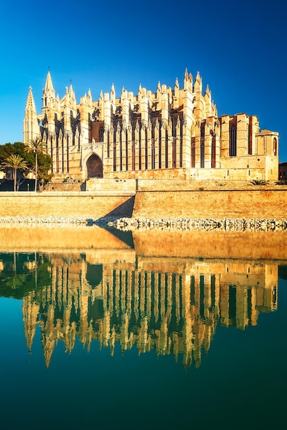 catedral de palma