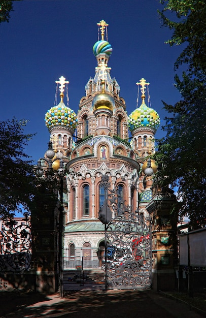 Catedral del Salvador sobre la sangre derramada en San Petersburgo y la celosía calada del jardín