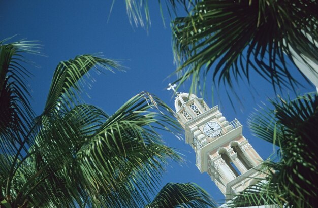 Foto catedral de san juan bautista en la ciudad de tira