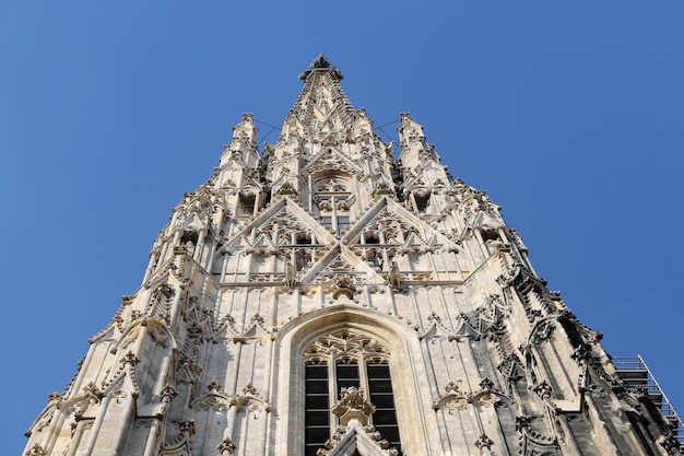 Catedral de St Stephens en Viena Austria