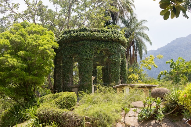 Foto cateter jardines del palacio en rio de janeiro