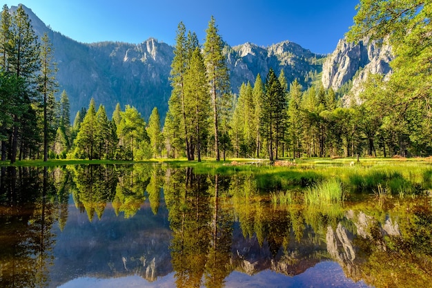 Cathedral Rocks, die sich im Merced River im Yosemite widerspiegeln