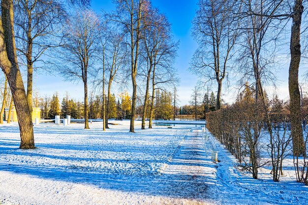 Catherine Park in der Nähe des gleichnamigen Palastes Zarskoje Selo Puschkin Sankt Petersburg Russland