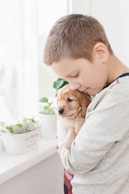 Foto caucasiano, menino, segurando, inglês, cocker spaniel, filhote cachorro