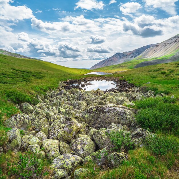 Cauce de piedra en las tierras altas alpinas de verano. El cauce del río sin agua, la sequía en el verano. El cauce del río está empedrado. Vista cuadrada.