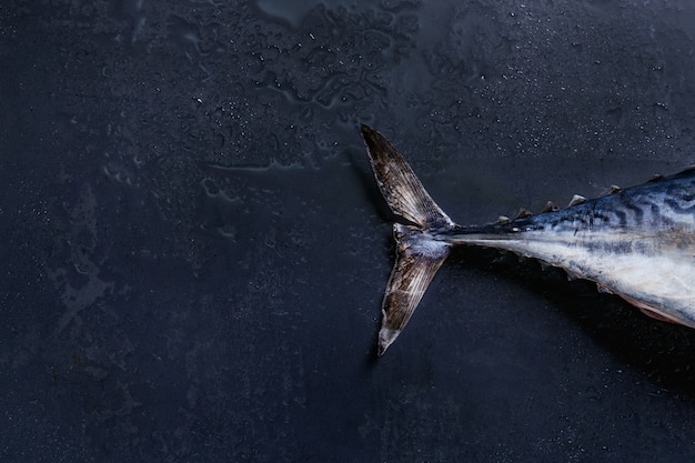 Cauda de atum fresco