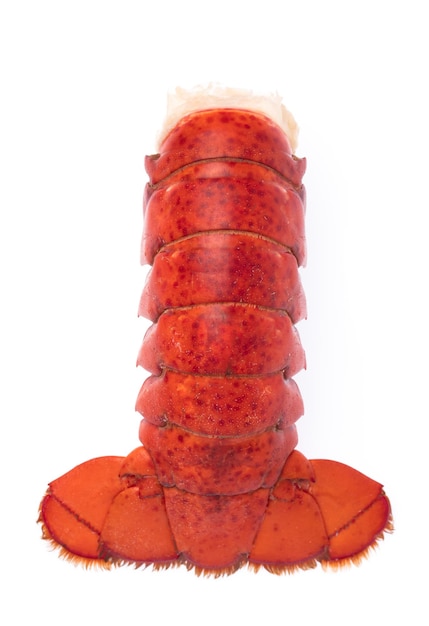 cauda de lagosta de camarão isolada no fundo branco