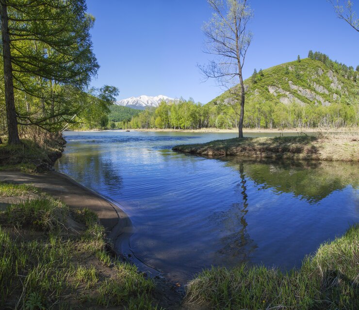 Foto caudal del río tranquilo, paisaje primaveral en una mañana soleada