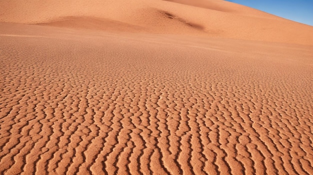 Las cautivadoras texturas del suelo seco en el desierto de Namib