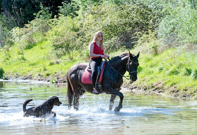 Cavalgando cachorro e cavalo no rio