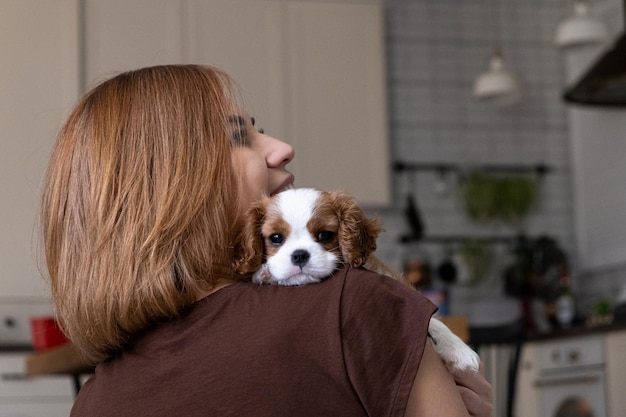 Cavalier King Charles Spaniel Blenheim Close Up retrato de lindo cachorro de perro con mujer anfitriona