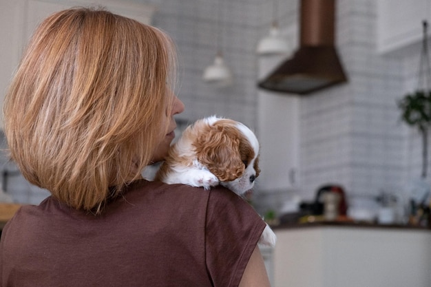 Cavalier King Charles Spaniel Blenheim Feche o retrato de um cachorrinho fofo com uma anfitriã