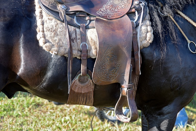 Cavalo com detalhes de sela e arnês