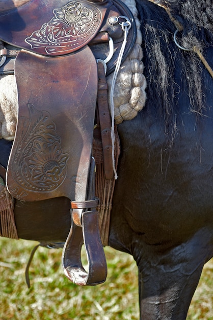 Cavalo com detalhes de sela e arnês