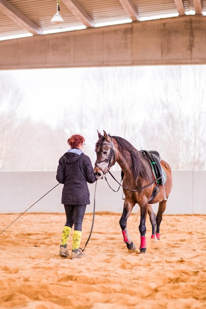 Cavalo de adestramento treinando em cordão para equitação mulher hispânica de meia-idade no salão de equitação