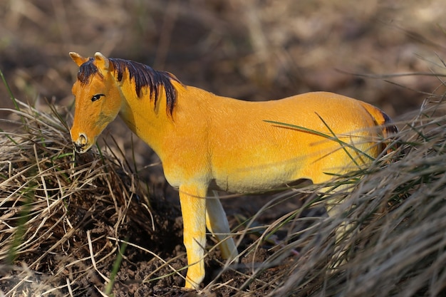 Cavalo de brinquedo na natureza entre a grama seca