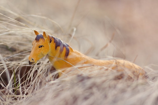 Cavalo de brinquedo na natureza fotografado como real entre a grama seca como palheiros