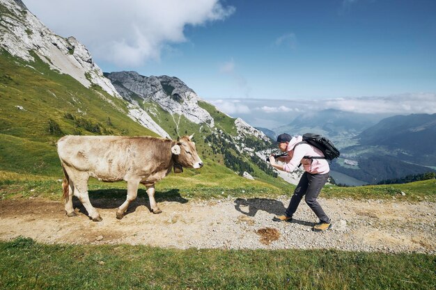 Foto cavalo de pé numa montanha