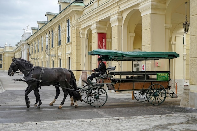 Cavalo e carruagem no Palácio Schonbrunn em Viena